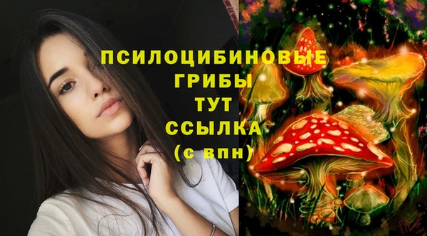 мяу мяу кристалл Пролетарск