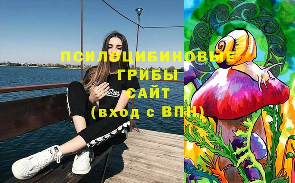 соль ск Приозерск