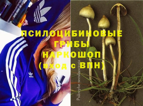 мяу мяу кристалл Пролетарск