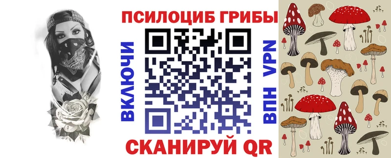 Псилоцибиновые грибы Cubensis Волгоград
