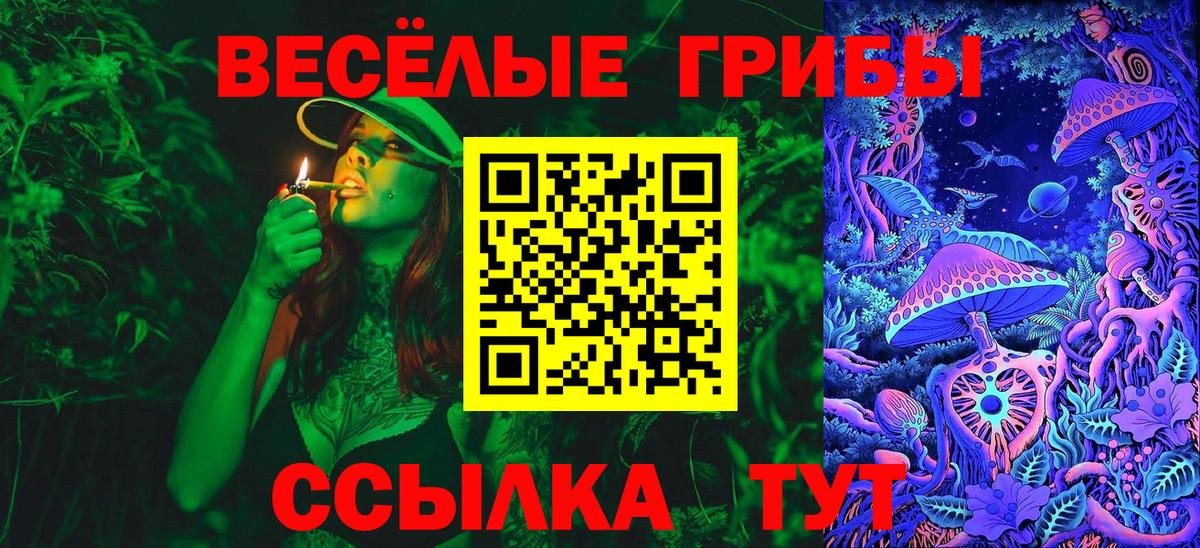 Псилоцибиновые грибы Magic Shrooms Волгоград