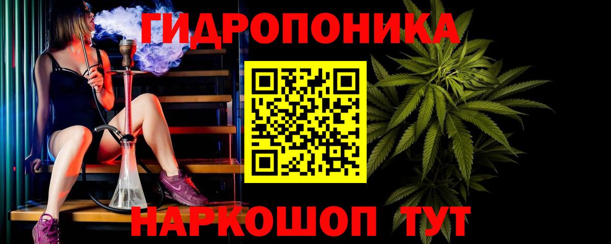 Конопля OG Kush Волгоград